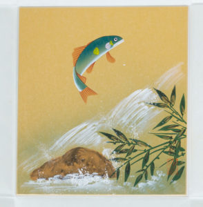 July Shikishi, motive: Salmon  jumping
