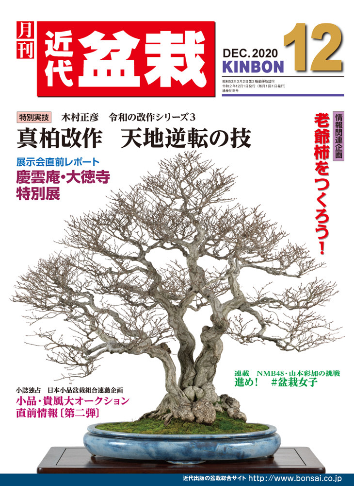 KINBON bonsai magazine Interview